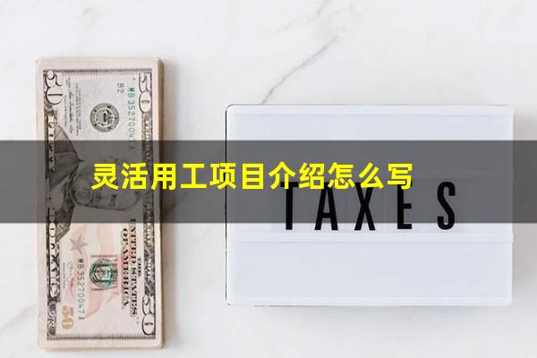 灵活用工项目介绍怎么写