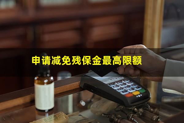 申请减免残保金最高限额