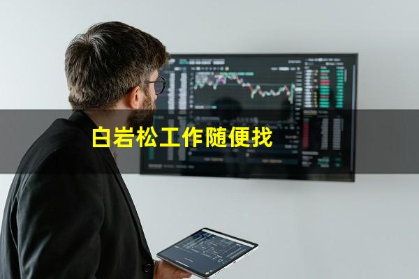 白岩松工作随便找