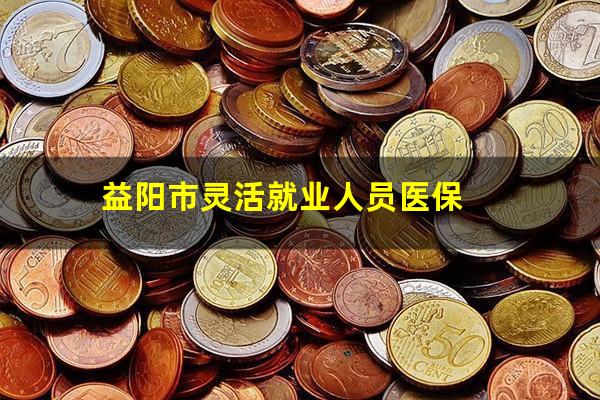 益阳市灵活就业人员医保