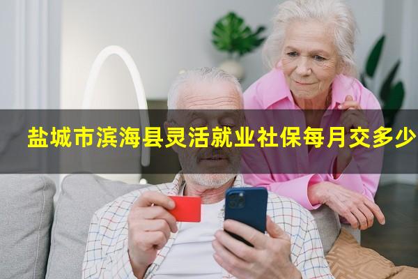 盐城市滨海县灵活就业社保每月交多少钱