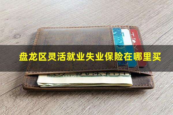 盘龙区灵活就业失业保险在哪里买