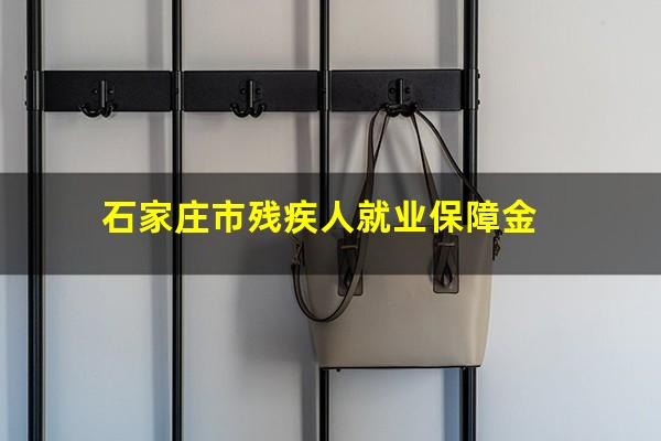 石家庄市残疾人就业保障金