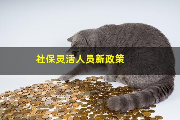 社保灵活人员新政策