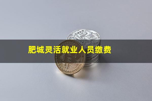 肥城灵活就业人员缴费