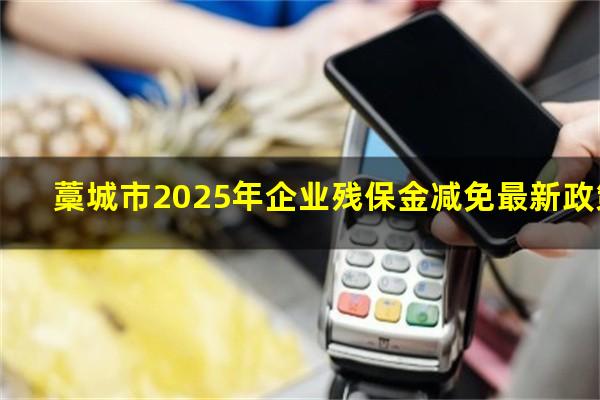 藁城市2025年企业残保金减免最新政策