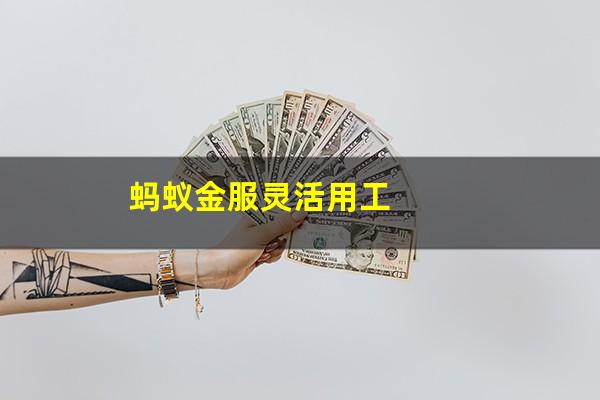 蚂蚁金服灵活用工