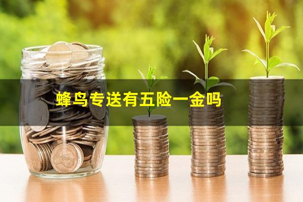 蜂鸟专送有五险一金吗