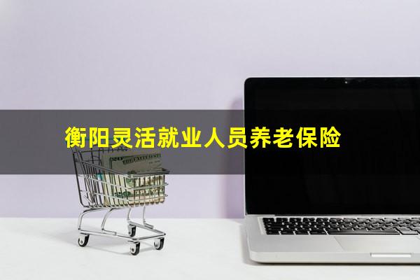 衡阳灵活就业人员养老保险