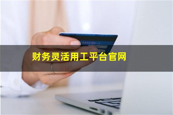 财务灵活用工平台官网