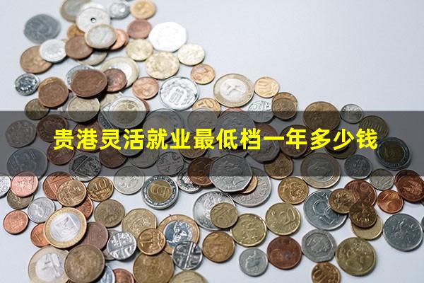 贵港灵活就业最低档一年多少钱