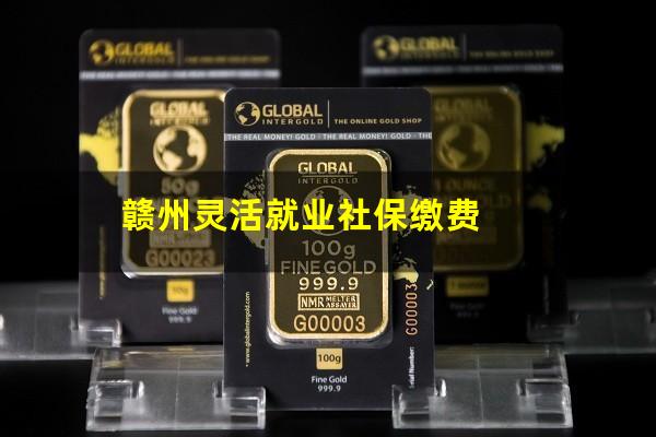 赣州灵活就业社保缴费