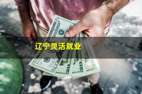 辽宁灵活就业