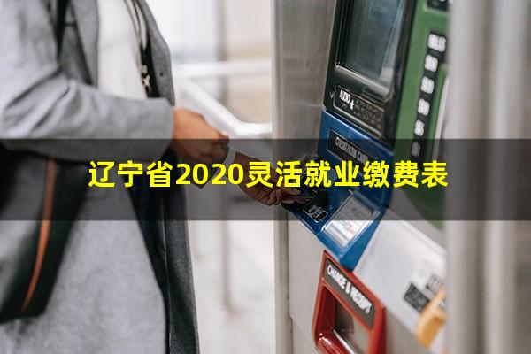 辽宁省2020灵活就业缴费表