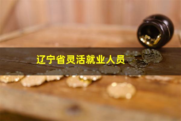 辽宁省灵活就业人员