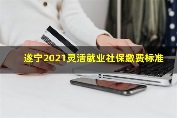 遂宁2021灵活就业社保缴费标准
