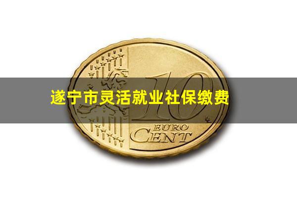 遂宁市灵活就业社保缴费