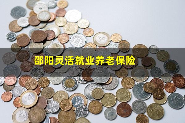 邵阳灵活就业养老保险