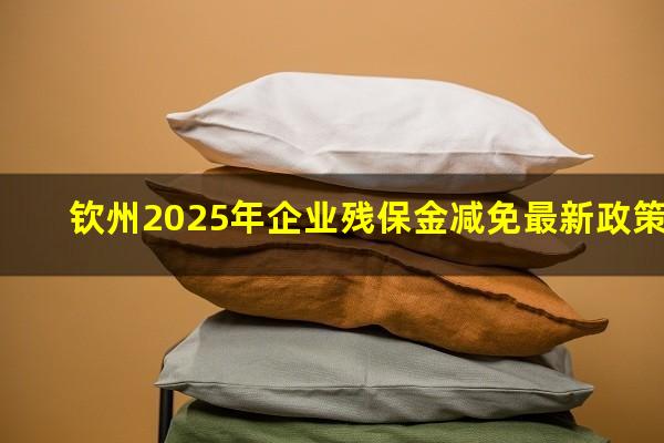 钦州2025年企业残保金减免最新政策
