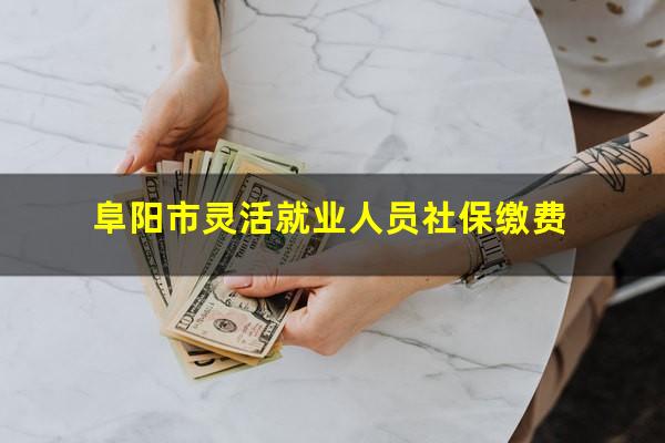 阜阳市灵活就业人员社保缴费