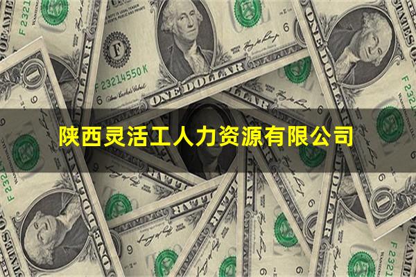 陕西灵活工人力资源有限公司