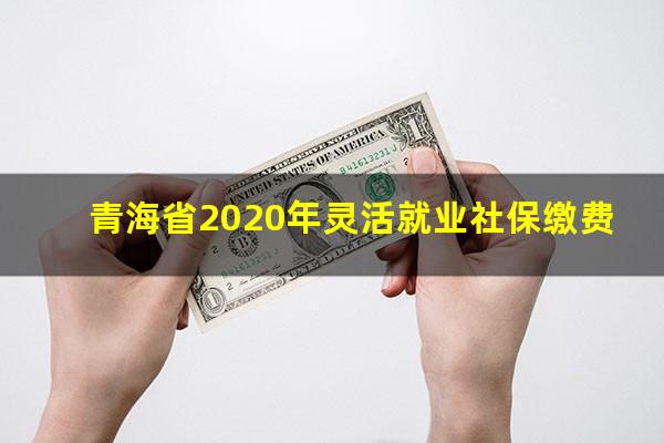 青海省2020年灵活就业社保缴费