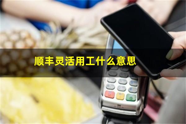 顺丰灵活用工什么意思