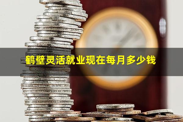 鹤壁灵活就业现在每月多少钱